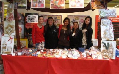 Projekt Jarmarky s Albertem